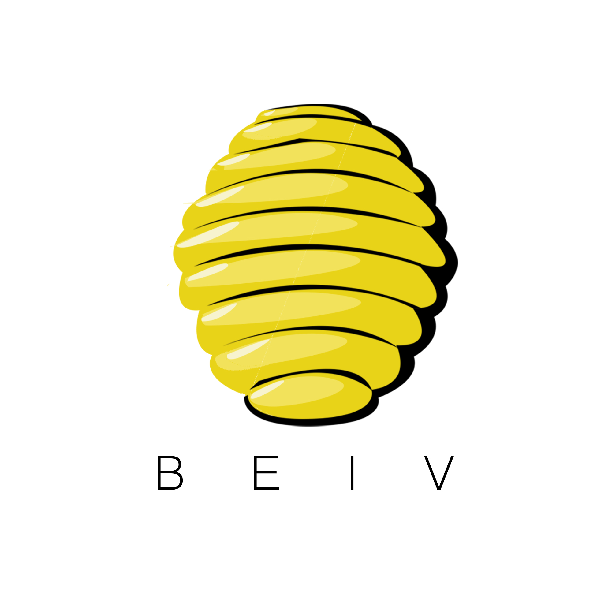 beiv project